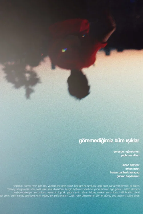 G&ouml;remediğimiz T&uuml;m Işıklar