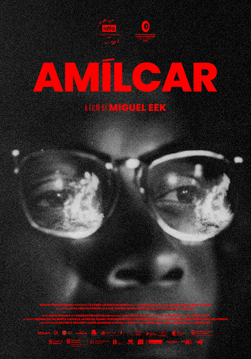 Am&iacute;lcar