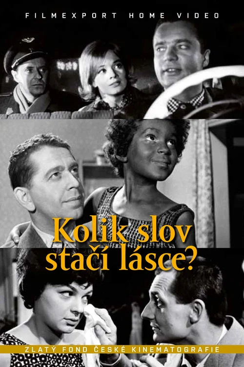Kolik slov stač&iacute; l&aacute;sce?