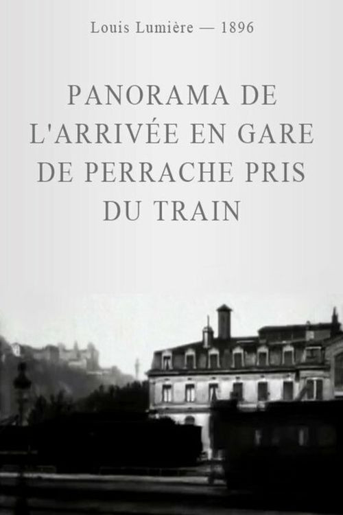 Panorama de l'arriv&eacute;e en gare de Perrache pris du train