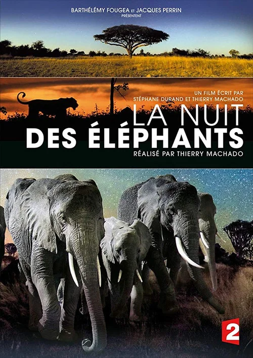 La Nuit des &eacute;l&eacute;phants