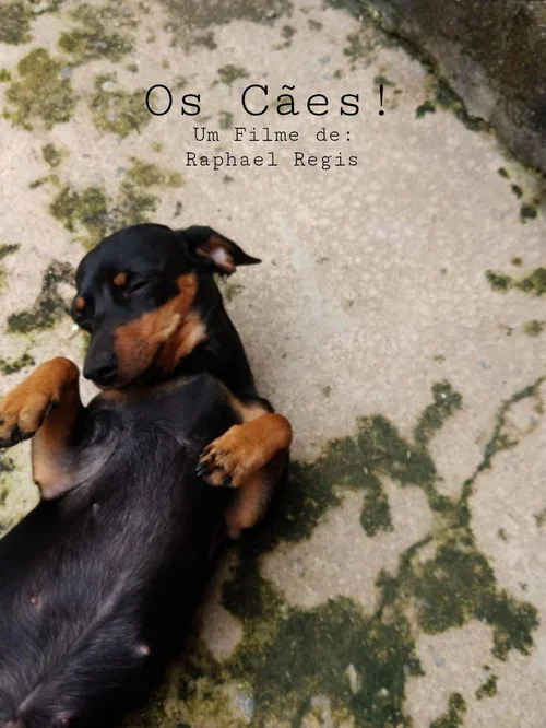 Os C&atilde;es!