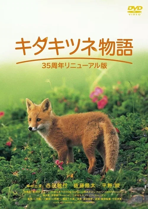 狐狸的故事