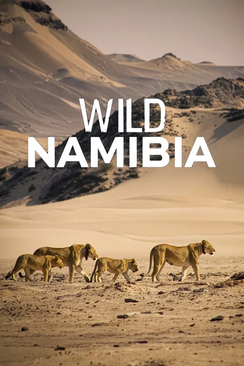 Namibia&rsquo;s Desert Kingdom
