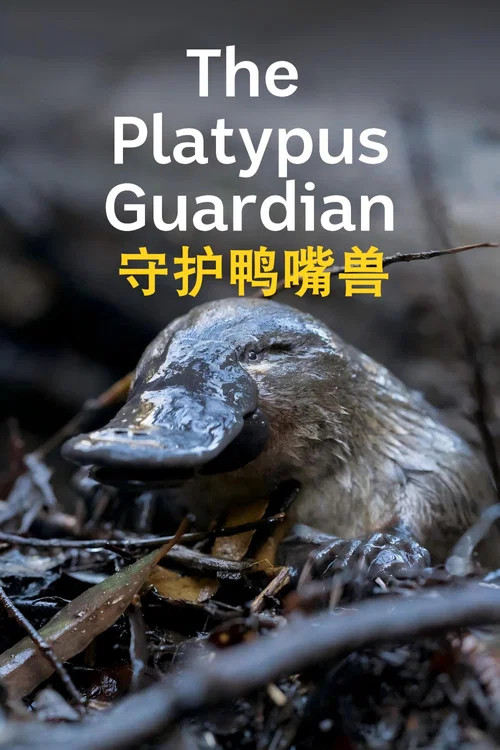 守护鸭嘴兽