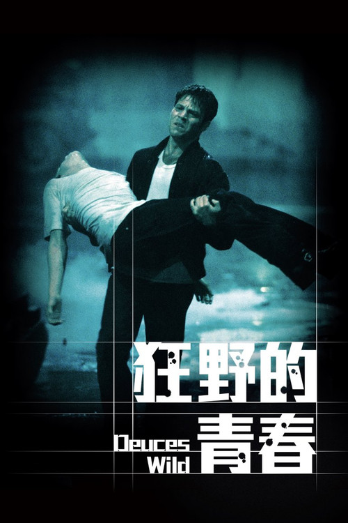 狂野的青春