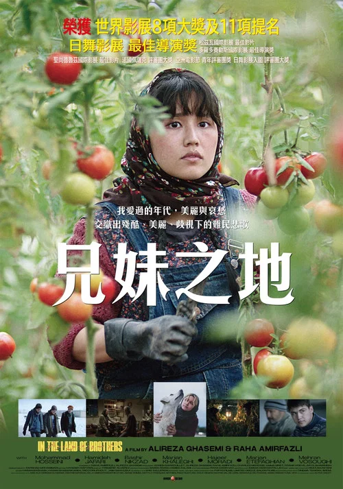 同一片土地