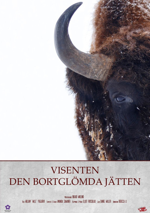 Visenten - Den Bortgl&ouml;mda J&auml;tten