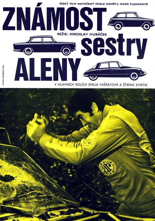 Zn&aacute;most sestry Aleny