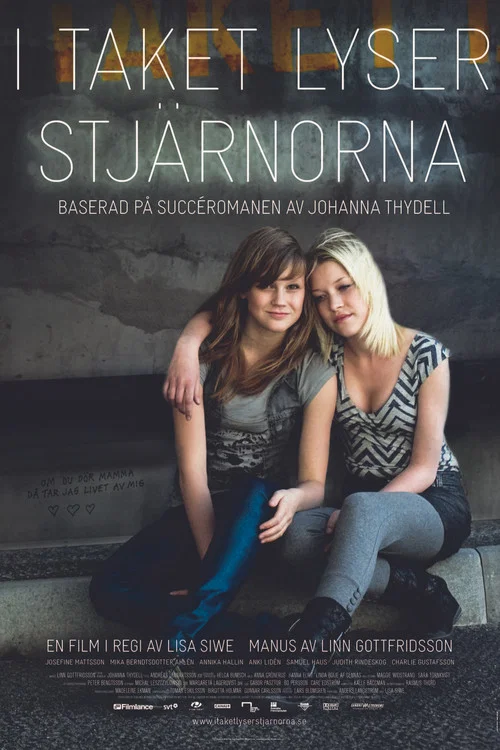 I taket lyser stj&auml;rnorna