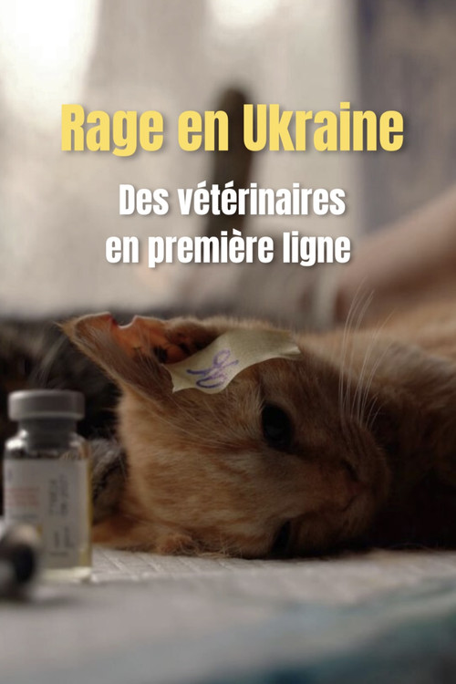 Rage en Ukraine : des v&eacute;t&eacute;riaires en premi&egrave;re ligne