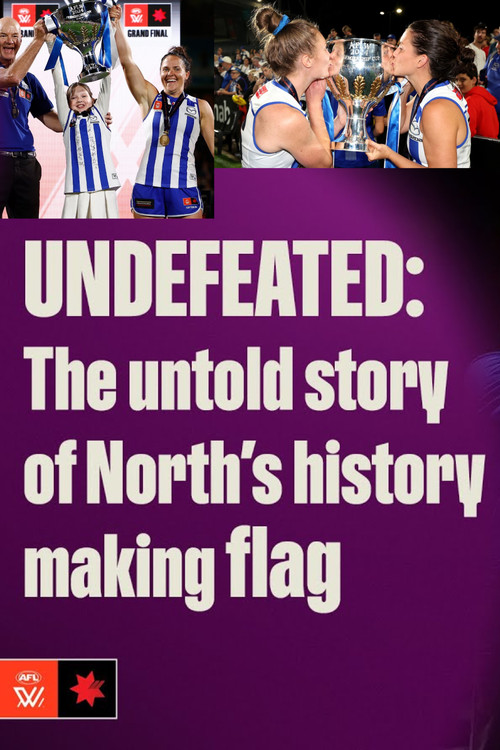 UNDEFEATED: The untold story of North&rsquo;s history-making flag