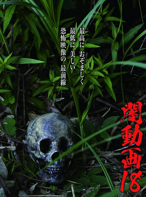 暗动画18