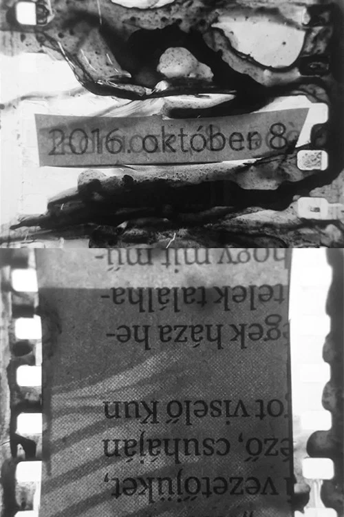 2016. okt&oacute;ber 8.
