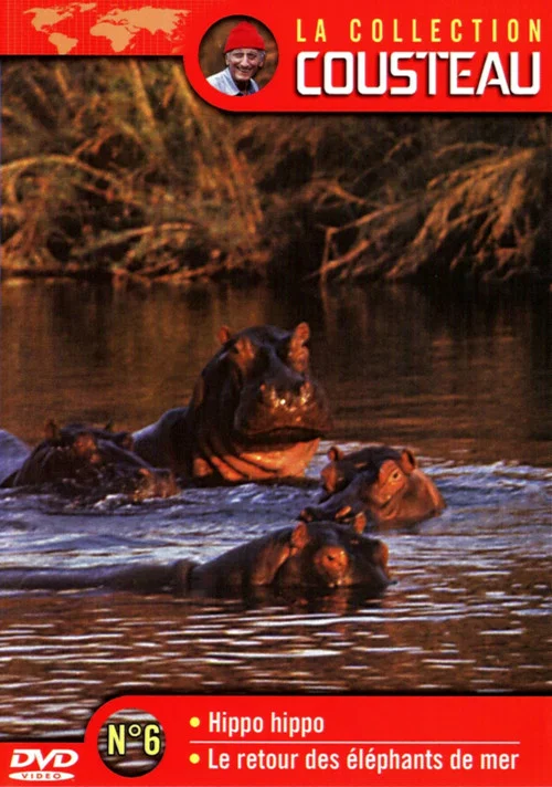 La collection Cousteau N&deg;6 | Hippo, Hippo | Le retour des &eacute;l&eacute;phants de mer