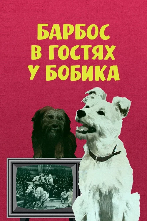 Барбос в гостях у Бобика