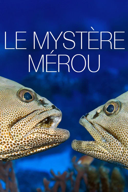 Le Myst&egrave;re M&eacute;rou