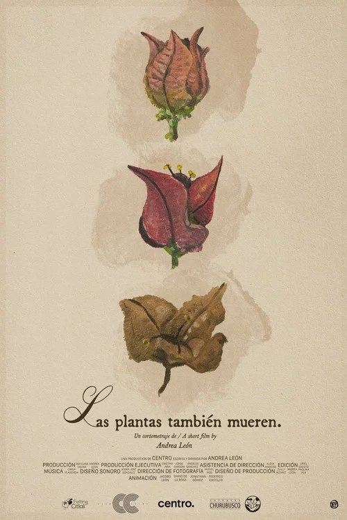 Las plantas tambi&eacute;n mueren