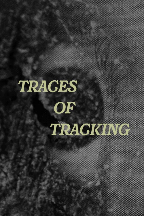 Traces of Tracking