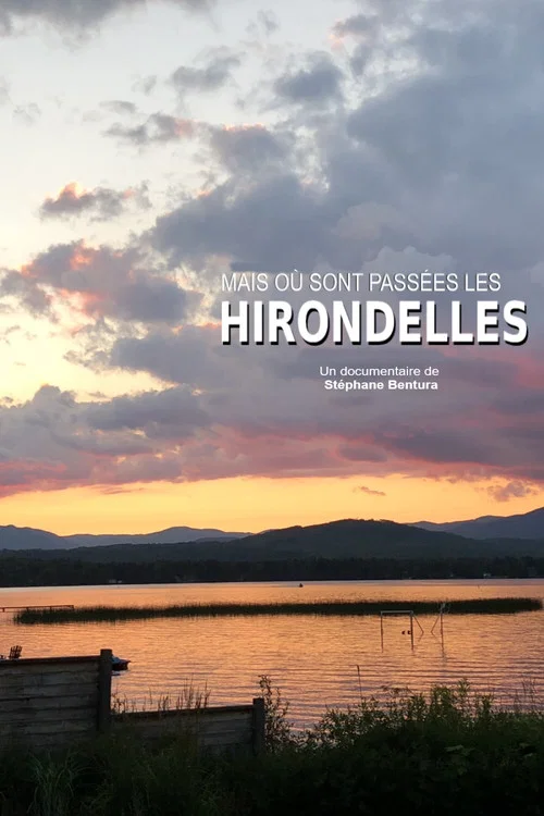 O&ugrave; sont pass&eacute;es les hirondelles ?