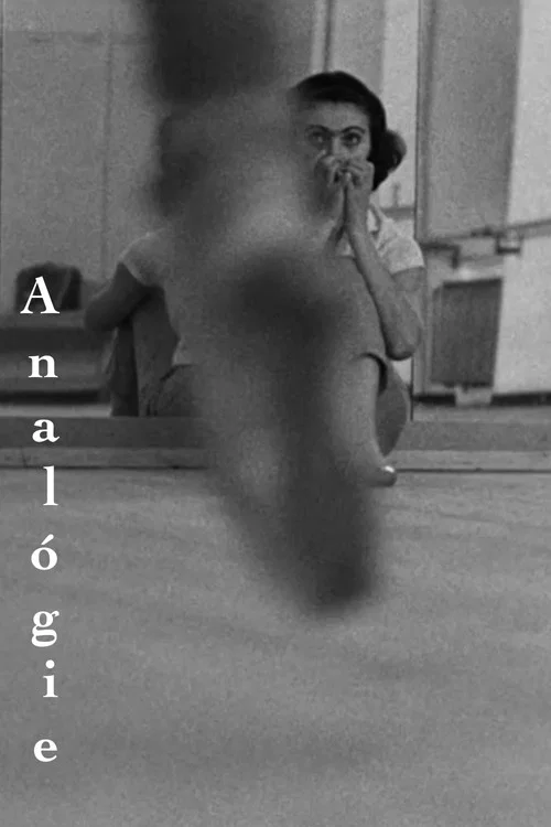 Anal&oacute;gie
