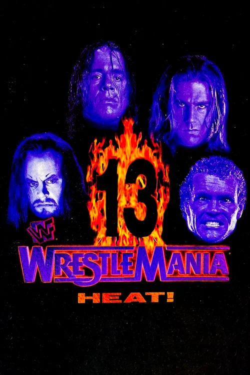 WWE 摔角狂热 13