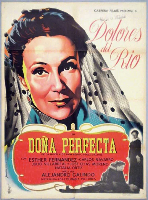 Do&ntilde;a Perfecta
