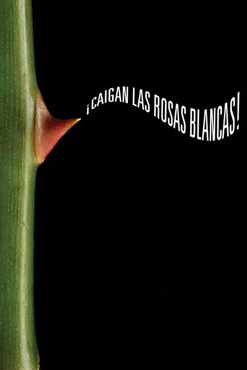 &iexcl;Caigan las rosas blancas!