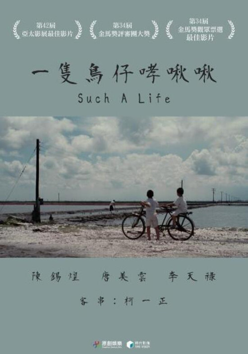 一只鸟仔哮啾啾