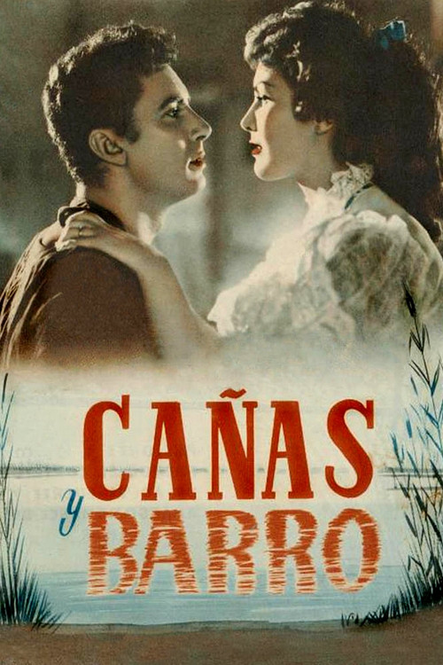 Ca&ntilde;as y barro