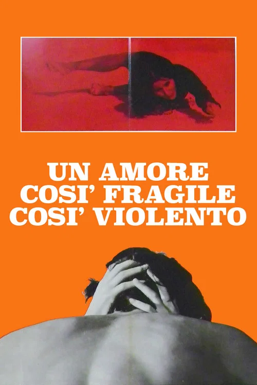 Un amore cos&igrave; fragile, cos&igrave; violento