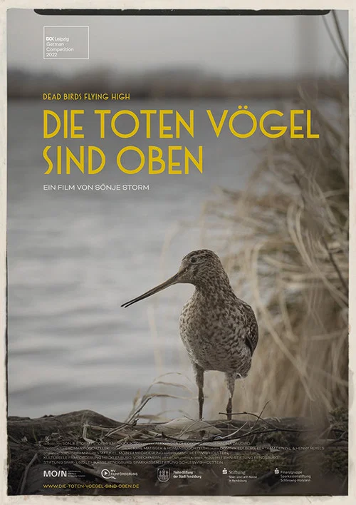 Die toten V&ouml;gel sind oben