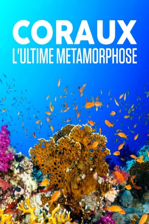 Coraux, l'ultime m&eacute;tamorphose