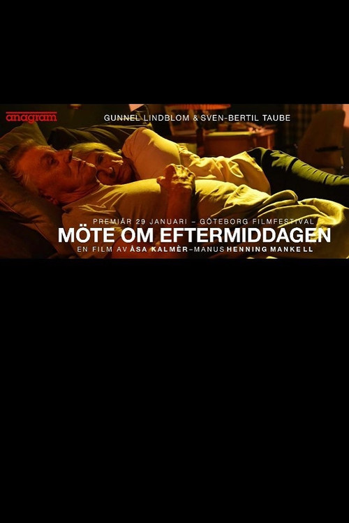 M&ouml;te om eftermiddagen
