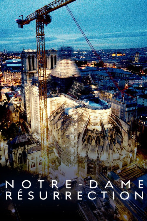 Notre-Dame R&eacute;surrection