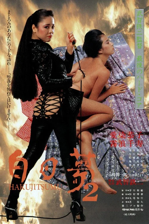 白日梦2
