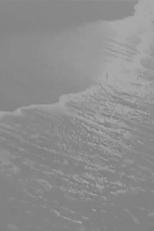 静カノ海