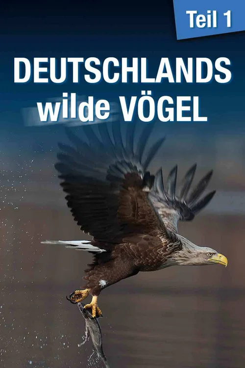 Deutschlands wilde V&ouml;gel