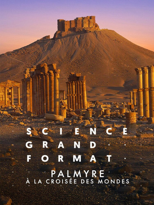 Palmyre, &agrave; la crois&eacute;e des mondes
