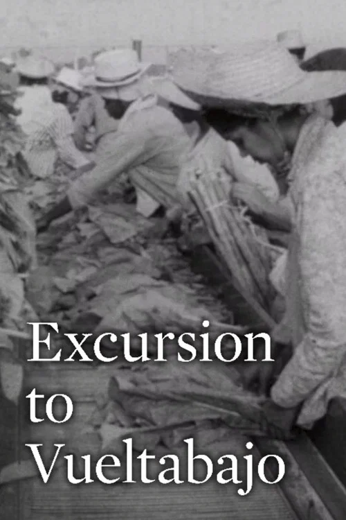 Excursi&oacute;n a Vueltabajo