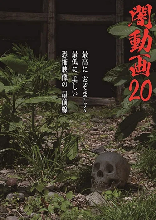 暗动画20