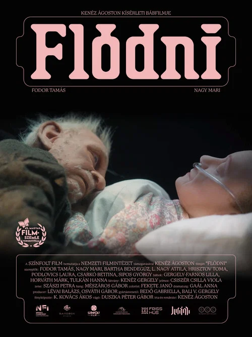 Fl&oacute;dni