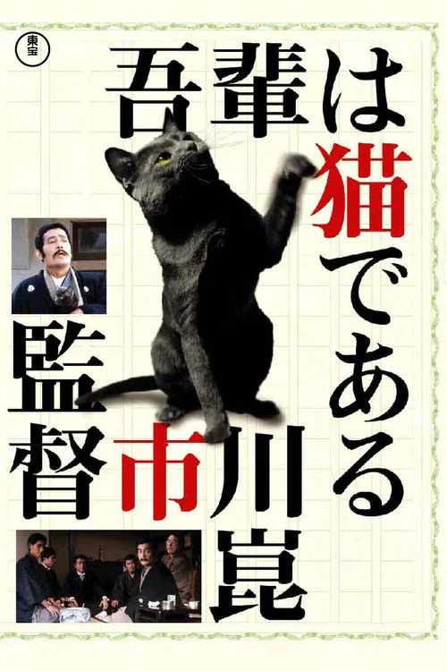 我是猫