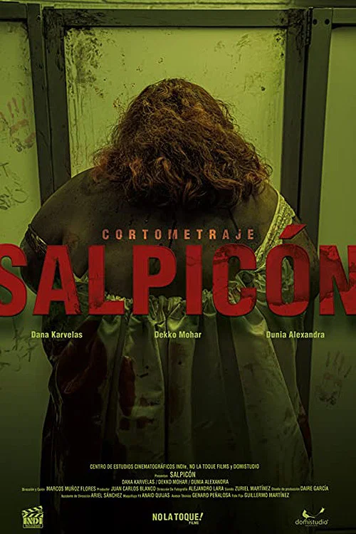 Salpic&oacute;n