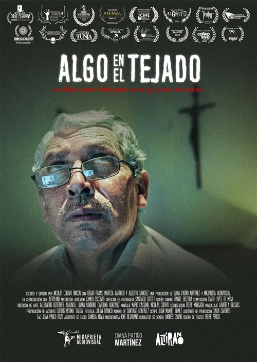 Algo en el tejado
