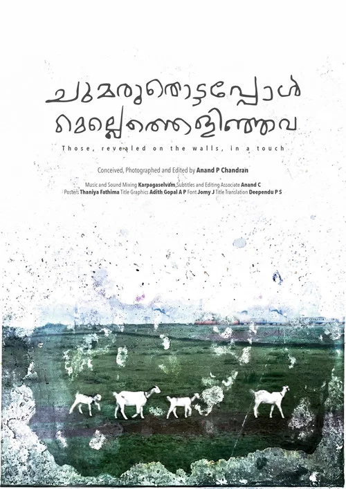 ചുമരുതൊട്ടപ്പോൾ മെല്ലെത്തെളിഞ്ഞവ