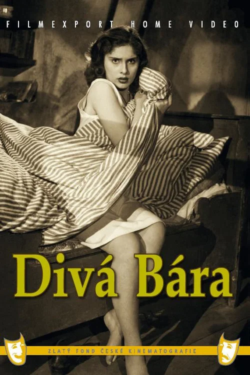 Div&aacute; B&aacute;ra