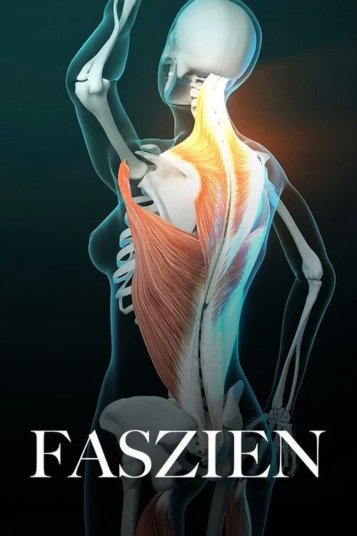 Faszien &ndash; Geheimnisvolle Welt unter der Haut