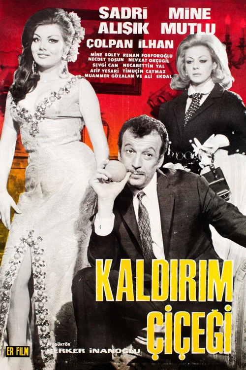 Kaldırım &Ccedil;i&ccedil;eği
