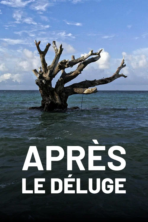 Apr&egrave;s le d&eacute;luge